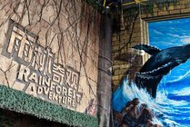 北京海洋馆景点天气实景图