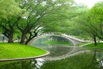 紫竹院公园景点天气实景图