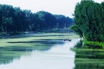 汉石桥湿地自然保护区景点天气实景图