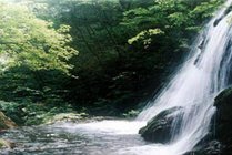 沟崖自然风景区景点天气实景图