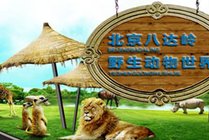 八达岭野生动物世界景点天气实景图