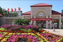 青龙湖公园景点天气实景图