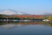 北宫森林公园景点天气实景图