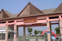 上海都市菜园景点天气实景图