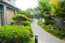高家庄生态园景点天气实景图