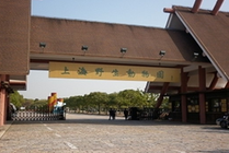 上海野生动物园景点天气实景图