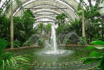 天津热带植物观光园景点天气实景图