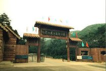 九龙山国家森林公园景点天气实景图