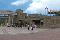 重庆动物园景点天气实景图