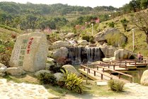 重庆南山植物园景点天气实景图