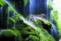重庆金刀峡风景区景点天气实景图