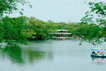 龙沙公园景点天气实景图