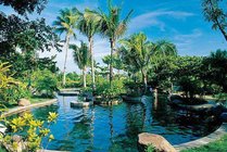 连环湖景点天气实景图