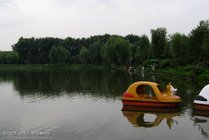 净月潭国家森林公园景点天气实景图