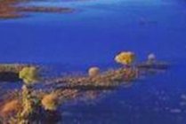 雁鸣湖旅游度假区景点天气实景图