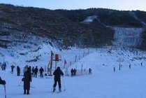 龙湾海滨滑雪场景点天气实景图