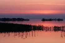 岱海旅游中心景点天气实景图