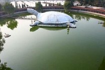 东方巨龟苑景点天气实景图