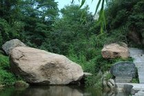 藤龙山景点天气实景图