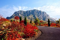 张家口鸡鸣山风景区景点天气实景图