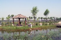 汾河湿地公园景点天气实景图