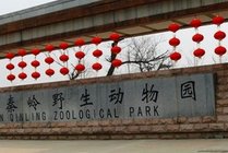 西安秦岭野生动物园景点天气实景图