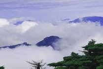 牛背梁国家森林公园景点天气实景图