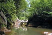 龙门洞森林公园景点天气实景图