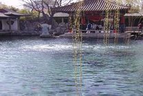 趵突泉公园景点天气实景图