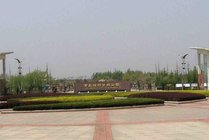 青岛城阳世纪公园景点天气实景图
