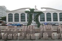 青岛啤酒街景点天气实景图