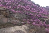 大珠山风景区景点天气实景图