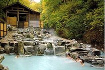 大雁岛绿色生态园景点天气实景图
