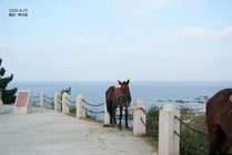 养马岛旅游度假区景点天气实景图