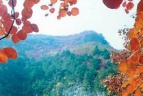 青州仰天山国家森林公园景点天气实景图