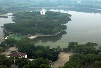 寿光林海生态博览园景点天气实景图