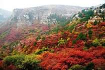 石门坊风景名胜区景点天气实景图