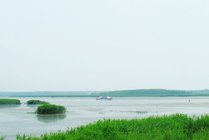 东平湖湿地公园景点天气实景图