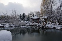 姜堤乐园景点天气实景图