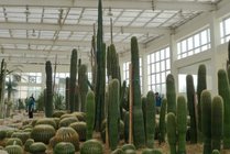 沙漠植物风情园景点天气实景图