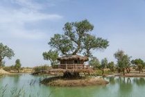 罗布人村寨景点天气实景图