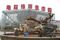 龟兹绿洲生态园景点天气实景图