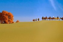 达瓦昆沙漠旅游风景区景点天气实景图