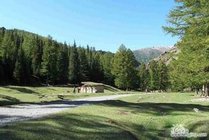 哈密天山国家森林公园寒气沟景区景点天气实景图