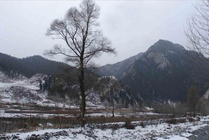 互助土族故土园旅游区景点天气实景图