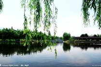 柳湖景点天气实景图