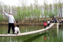丰乐葵园景点天气实景图