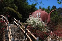 养子沟景点天气实景图