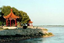濮阳毛楼生态旅游区景点天气实景图