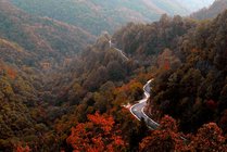 甘山国家森林公园南门景点天气实景图